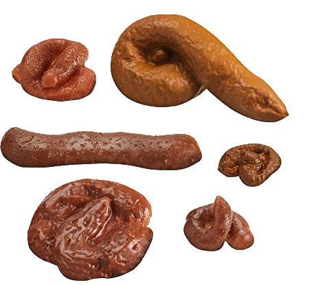 The Specimen Bag Of Shit 5 Sticky 1 Floating Real Looking Fake Poops 6